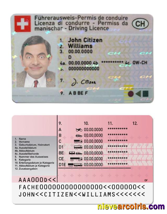 Switzerland driving license